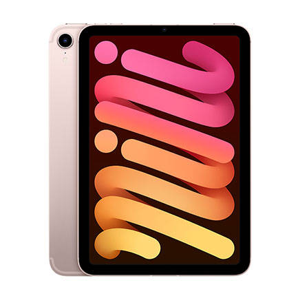 iPad mini 2021 64GB Pink